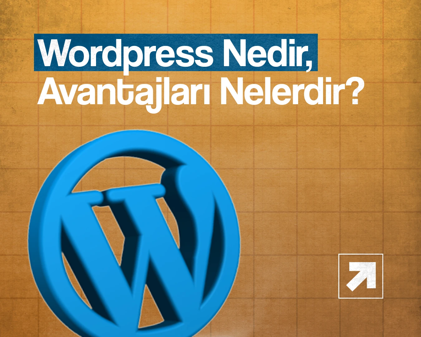 WordPress Nedir, WordPressin Avantajları Nedir?