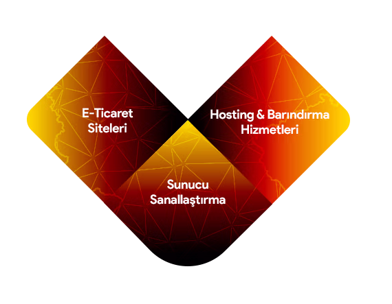 Fiziksel Sunucu İle Neler Yapabilirsin?